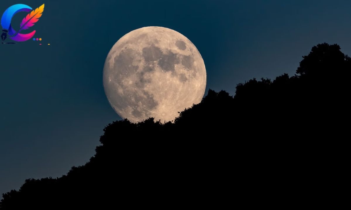 Good night moon quotes_